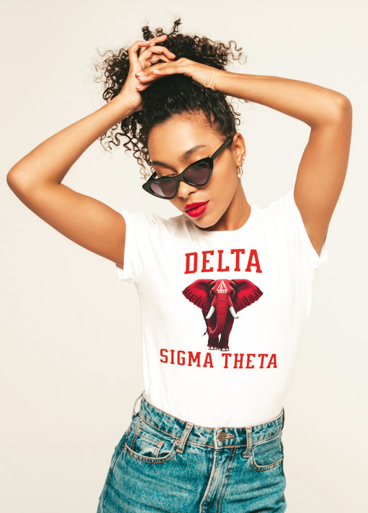 Delta Sigma DETERMINATION Design By Waymaker Designs Inc. image 0